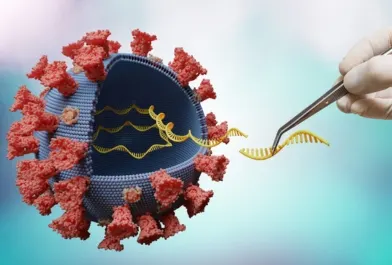 16S rRNA gene sequencing